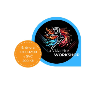 LA VIDA FIRE workshop